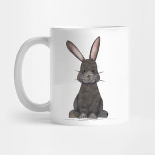 Cutest ever, totally adorable Chester the Rabbit - kids Mug